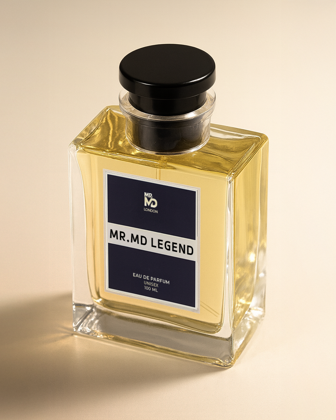 MR MD LEGEND (100ml) (Inspired by Mont Blanc Legend)